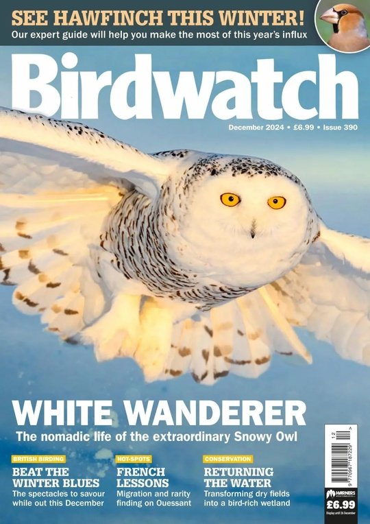 Birdwatch UK January 2025 Collection Of Magazines In PDF Format