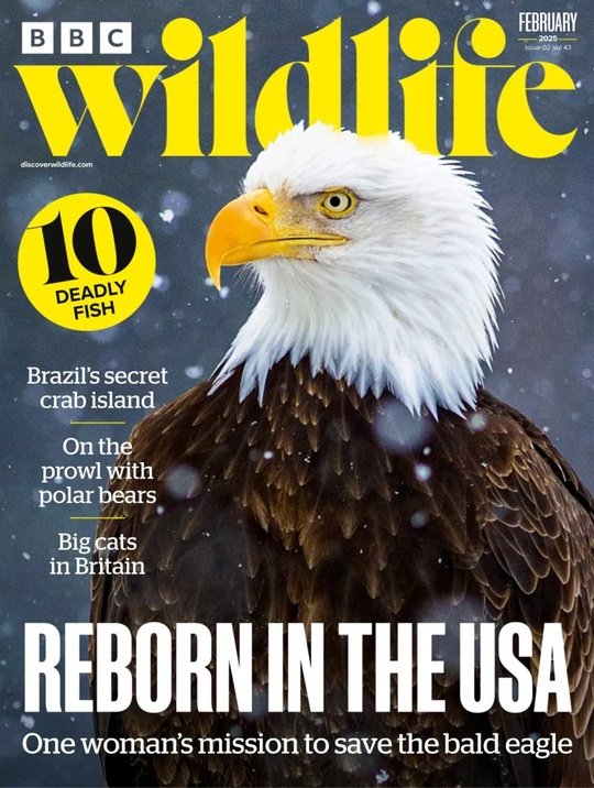 BBC Wildlife February 2025 Collection Of Magazines In PDF Format