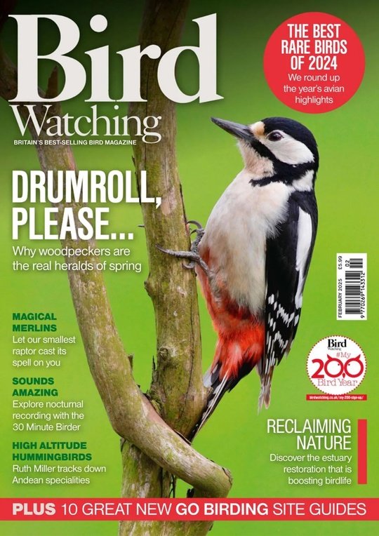 Bird Watching UK - February 2025