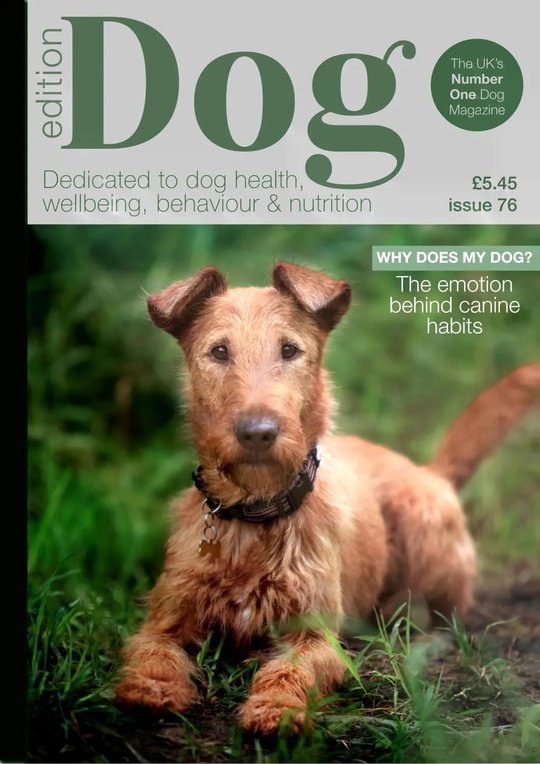 Edition Dog - Issue 76 2025