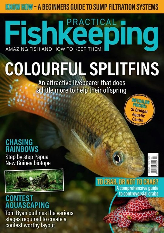 Practical Fishkeeping - March 2025