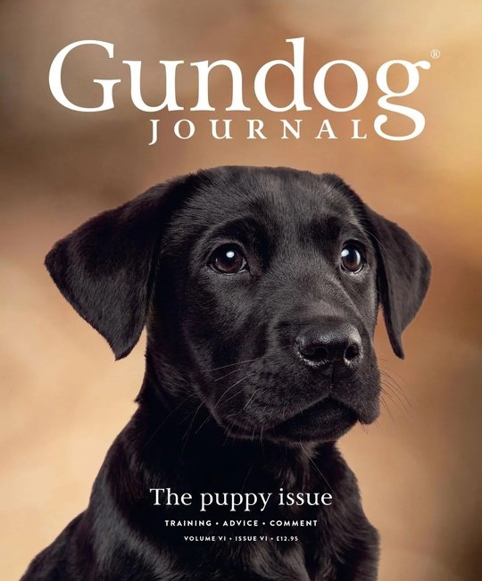 Gundog Journal - Volume VI Issue VI 2025